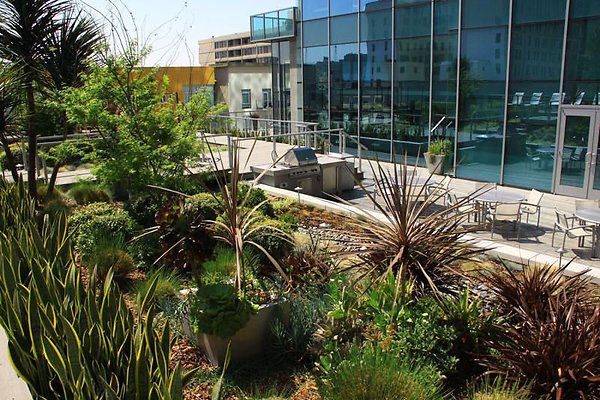 UNIVERSAL-9081-LA-89