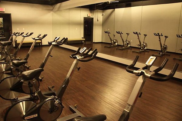 UNIVERSAL-9081-LA-115