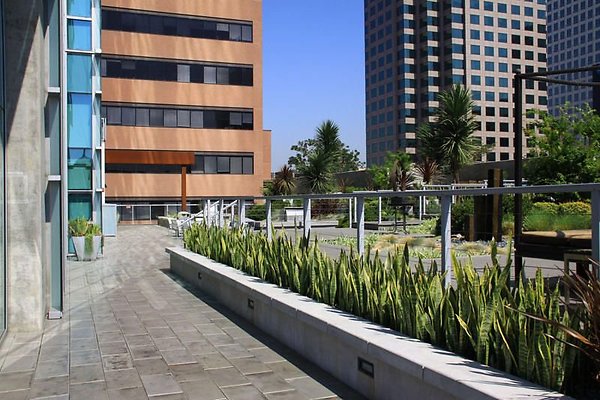 UNIVERSAL-9081-LA-79