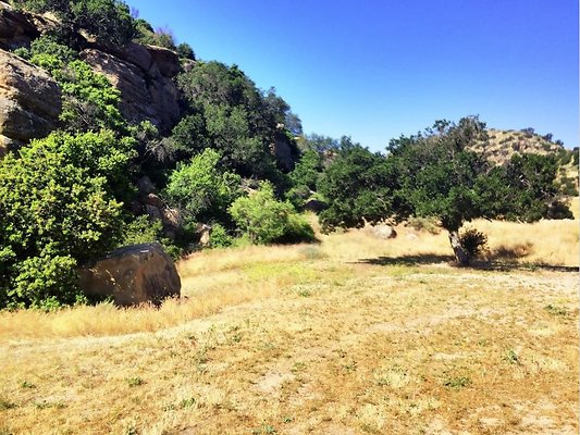 Screen Shot 2020-07-12 at 1.26.12 PM