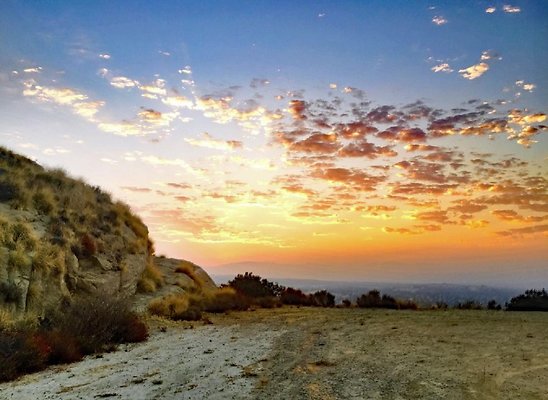 Screen Shot 2020-07-12 at 1.27.53 PM