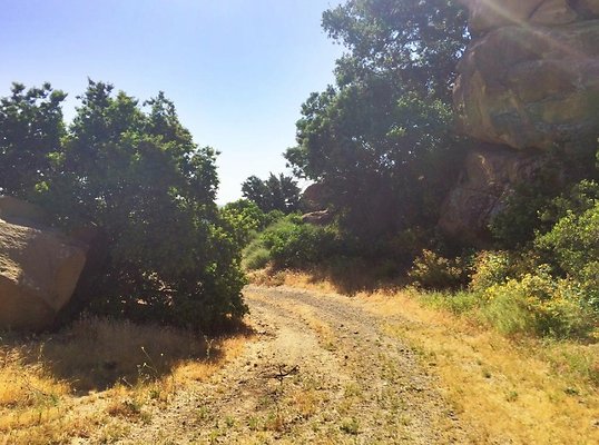 Screen Shot 2020-07-12 at 1.26.21 PM