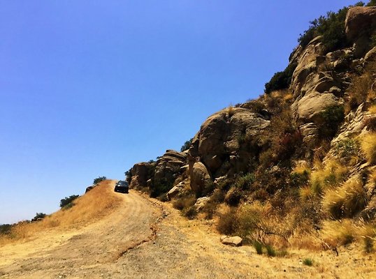 Screen Shot 2020-07-12 at 1.25.00 PM