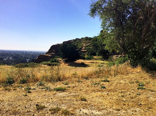 Screen Shot 2020-07-12 at 1.25.44 PM