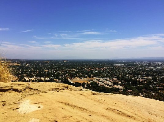 Screen Shot 2020-07-12 at 1.23.59 PM