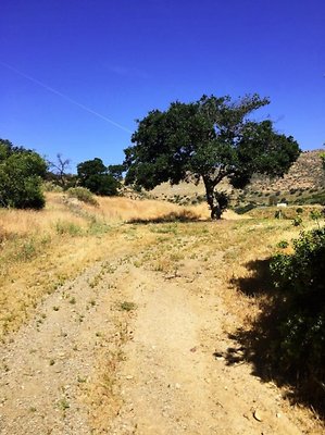 Screen Shot 2020-07-12 at 1.27.12 PM