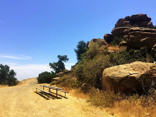 Screen Shot 2020-07-12 at 1.21.43 PM