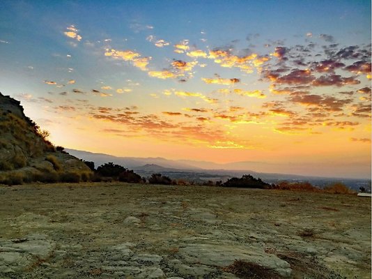 Screen Shot 2020-07-12 at 1.27.45 PM