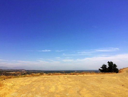 Screen Shot 2020-07-12 at 1.20.26 PM