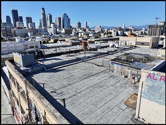 Screenshot 2025-03-10 at 4.44.54 PM