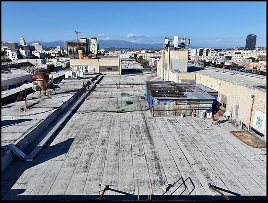 Screenshot 2025-03-10 at 4.47.00 PM