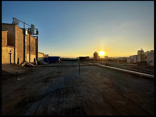 Screenshot 2025-03-10 at 4.46.30 PM