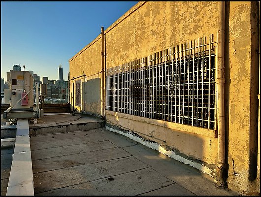 Screenshot 2025-03-10 at 4.45.21 PM