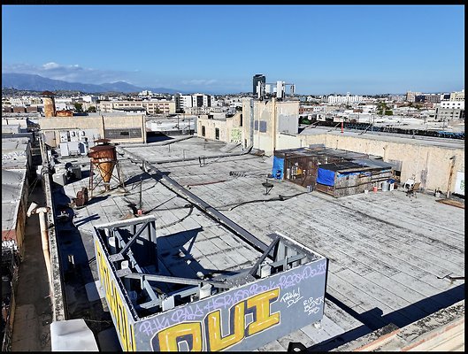 Screenshot 2025-03-10 at 4.45.02 PM