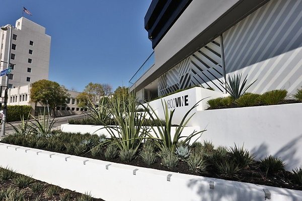 CapEquityHollywoodSpacesOffice11