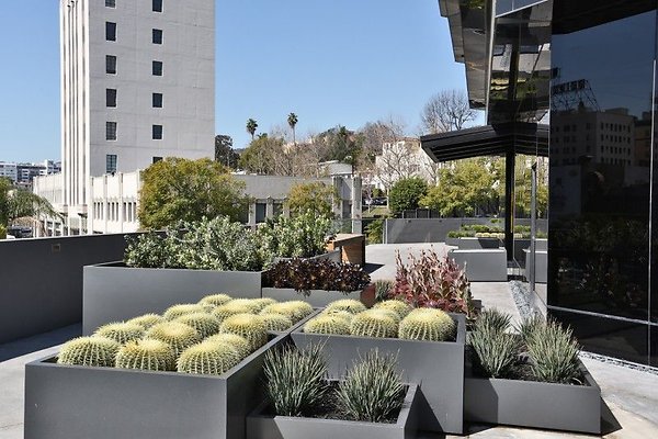 CapEquityHollywoodSpacesOffice26