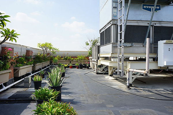 1930WilshireRfTpDSC01195