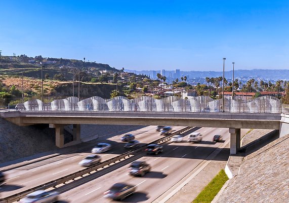 86944a95625f9bacfed8bd9ff6133498