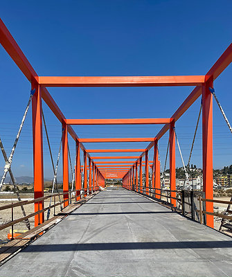 SPF-a-rumblefish-bridge-designboom-X2