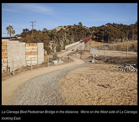 Screenshot 2025-03-09 at 11.01.37 AM