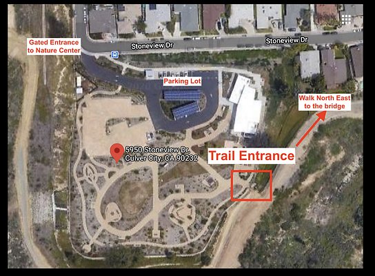 Screenshot 2025-03-09 at 11.01.52 AM