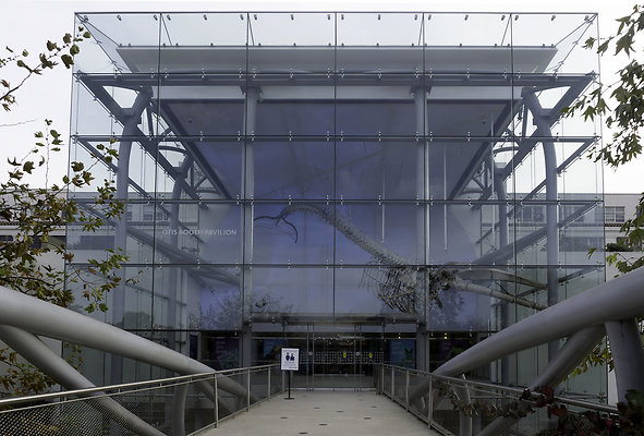 north-entrance-cloudy-day-