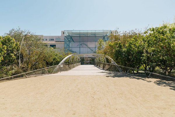 AURELIA-DAMORE NHM 200301w-1024x683