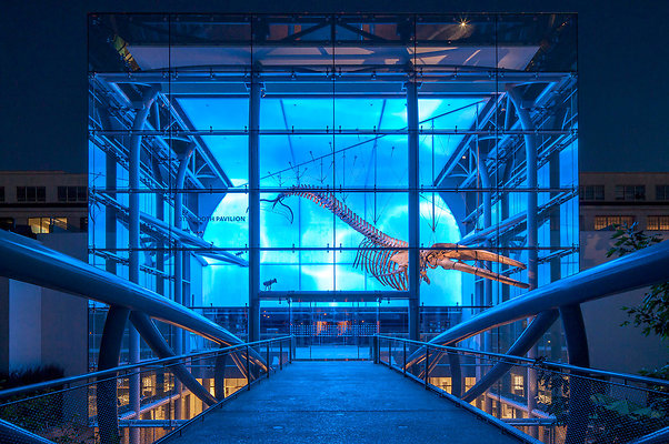 00 Exterior-04-NHM-large