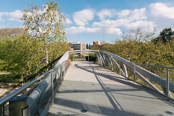 AURELIA-DAMORE NHM 200301w-1024x683