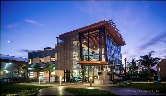 Screen Shot 2020-03-31 at 8.13.34 AM