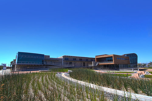 AWPF-wetlands-growing web