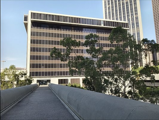 Screenshot 2025-03-09 at 10.51.14 AM