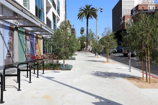 000 997 Sidewalk 0228