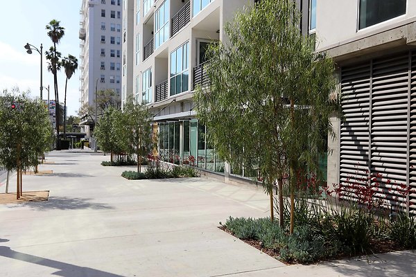 000 997 RS Sidewalk 0235