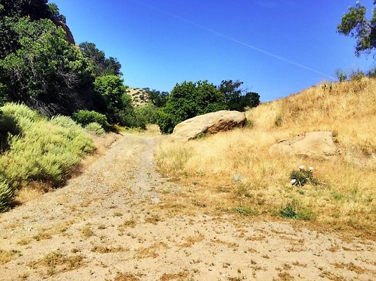 Screen Shot 2020-07-12 at 1.26.55 PM