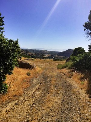 Screen Shot 2020-07-12 at 1.26.30 PM