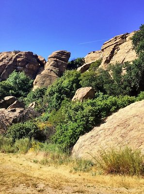 Screen Shot 2020-07-12 at 1.27.04 PM