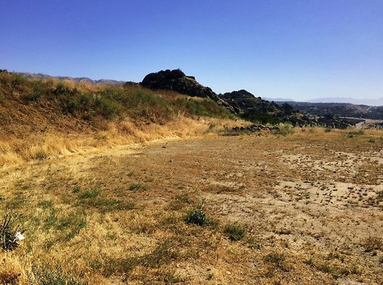 Screen Shot 2020-07-12 at 1.26.39 PM