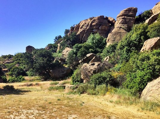 Screen Shot 2020-07-12 at 1.26.47 PM