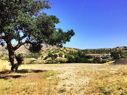 Screen Shot 2020-07-12 at 1.27.28 PM