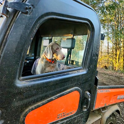 1079540260858066 1670846462626745253 n