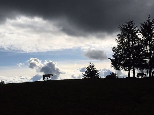 1029601809185245 4442957674918391069 n