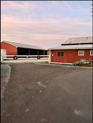 Screenshot 2025-06-14 at 7.13.35 PM