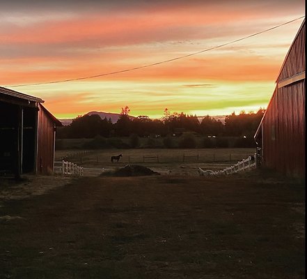 Screenshot 2025-06-14 at 8.13.19 PM