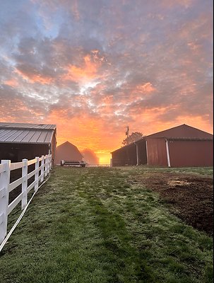 Screenshot 2025-06-14 at 7.12.48 PM