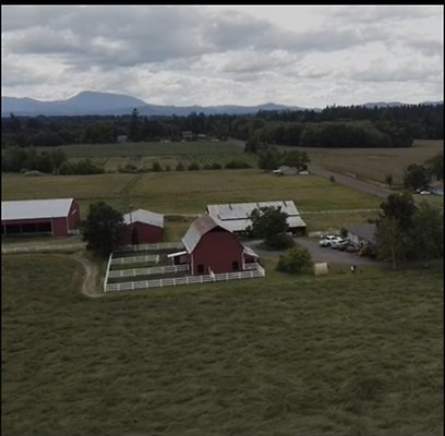 Screenshot 2025-06-14 at 7.12.09 PM