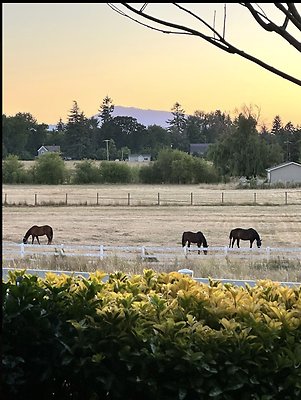 Screenshot 2025-06-14 at 7.12.42 PM