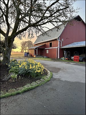 Screenshot 2025-06-14 at 7.12.54 PM