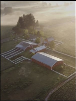 Screenshot 2025-06-14 at 7.12.15 PM