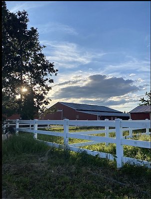 Screenshot 2025-06-14 at 7.12.36 PM